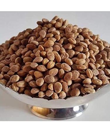 DRY FRUITS CHIRONJI DANA ALMONDETTE SEEDS DRY FRUITS (125GM) - Buy Online on GoSupps.com