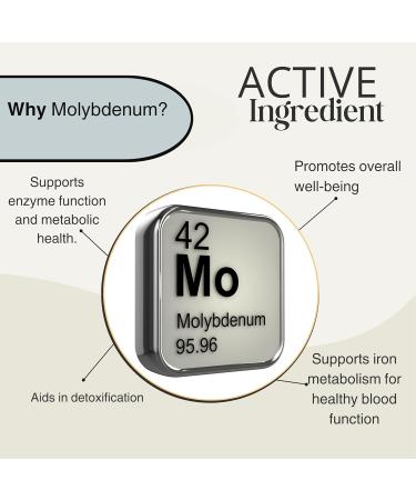 Dr. Scott's Advanced Brain & Focus Supplement Nootropic with Vitamins Minerals GABA Bacopa & Huperzine A Memory Clarity & Cognitive Support Non-GMO Soy-Free 60 Capsules - Buy Online on GoSupps.com