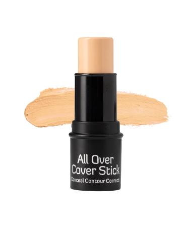 Epilynx Shine-Free Balance Illuminating Foundation Stick  Concealer Stick  Vegan  Free of Oils  Gluten  Allergens 1 Medium & Creamy Warm
