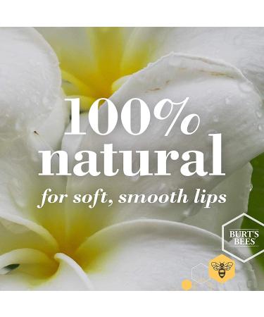 Burt's Bees Vanilla Bean Lip Balm 4.25g - Beeswax & Vitamin E, 100% Natural (Pack of 1) - Buy Online on GoSupps.com