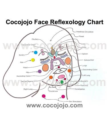 16 oz Rosehip Oil - 100% Pure Cold Pressed Seed Oil for Face & Skin - Unrefined Premium Grade from Egypt - Unique Scent, Not Like Chile - Buy Online on GoSupps.com