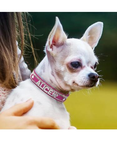 Shop Senristar Personalized Bling Rhinestone Dog Collar - Custom Glitter Crystal Diamond for Small to Large Dogs (26-32 cm) - Hot Pink - Buy Online on GoSupps.com
