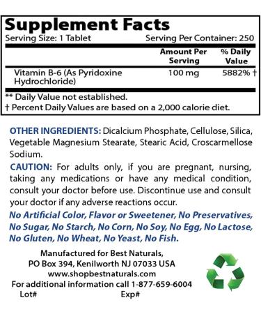 Best Naturals Vitamin B6 Tablets 100mg - 250 Count - Buy Online on GoSupps.com