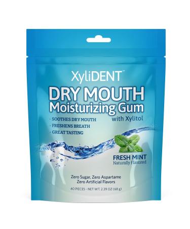 XyliDENT Dry Mouth Gum for Dry Mouth Relief with Monk Fruit Xylitol Stevia - Stimulates Saliva Freshens Breath Fast Acting Relief Sugar Free Aspartame Free Natural 40 Count (Fresh Mint)