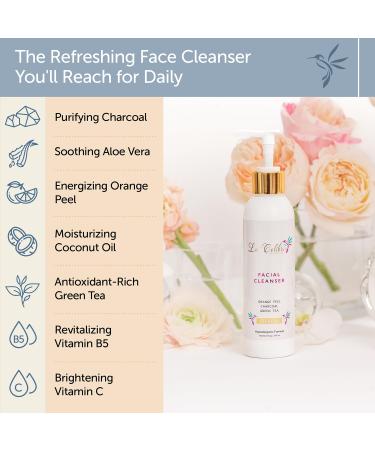 Refresh Daily Facial Cleanser for Oily & Sensitive Skin - Vegan Hypoallergenic Face Wash with Activated Charcoal & Vitamin C - Buy Online on GoSupps.com