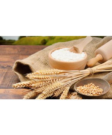 Aashirvaad Whole Wheat Atta | 100% Whole Wheat | Full of Fibre | Make Rotis & Chappatis | Traditional Indian Flour | Nutritious | Vegetarian | 10 KG Bag - Buy Online on GoSupps.com