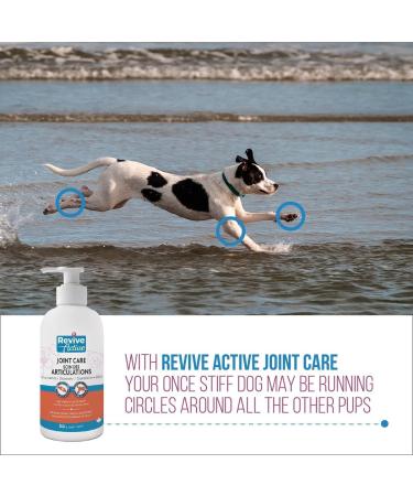 Revive Active Joint Care Liquid for Dogs and Cats 500ml Relieves Inflammation Promotes Optimal Growth and Development Joint Mobility and Good Health. Liquid 500ml - Buy Online on GoSupps.com