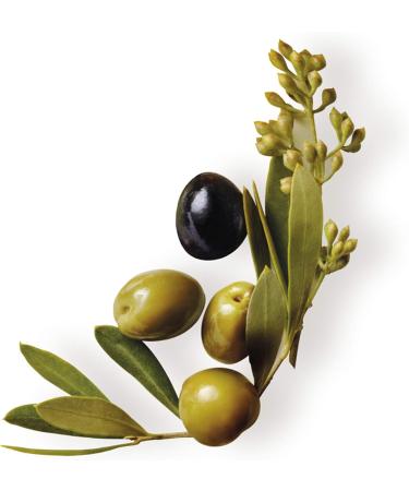 REMEDY Mitica ORIGINAL olive shampoo. 250ml - Buy Online on GoSupps.com