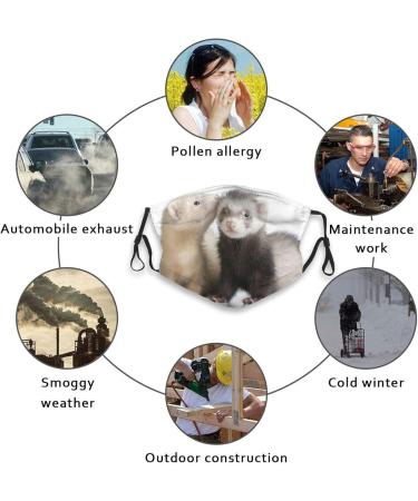 PPFINE Ferrets Fashion Animal Breathable Face Cover Adjustable Reusable Washable For Teenagers Men Women Balaclava Ferrets Fashion Animal 1 count (Pack of 1) - Buy Online on GoSupps.com