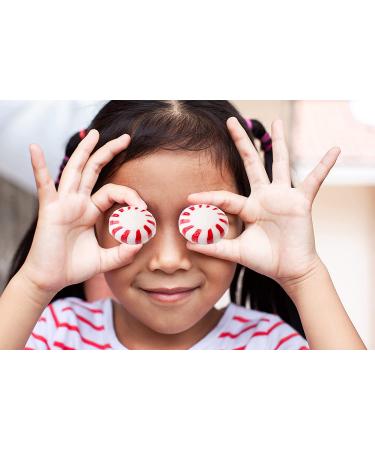 Starlight Peppermint Mints - 3 Pound Bulk Pack of Individually Wrapped Breath Mints - Buy Online on GoSupps.com