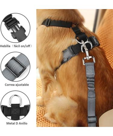 Buy Slowton Dog Harness with Seat Belt - Breathable Safety Harness for Puppies | Dark Gray S - International Shipping Available - Buy Online on GoSupps.com