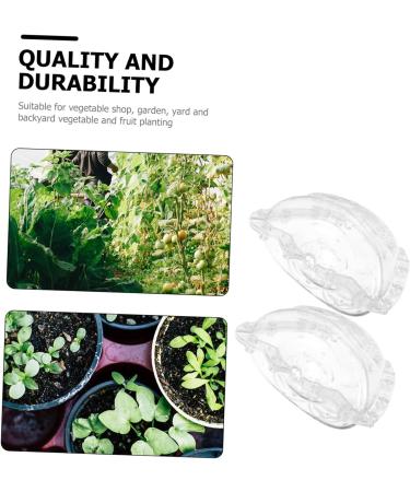 SUPVOX Cucumber Shaping Mold 2pcs Fruit Mold Accessories Growing Shaping Pear Ingot Ingot-Shaped Vegetable Molds Garden Yard - Buy Online on GoSupps.com