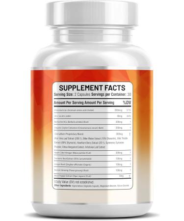 Kun Shafi Ceylon Cinnamon Complex with Berberine Apple Cider Vinegar Plus Bitter Melon Gymnema Ginseng Chromium & Turmeric Milk Thistle 60 Ct - Buy Online on GoSupps.com