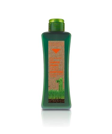 Salerm Biokera Shampoo for Treated Hair - 36.1 oz/liter