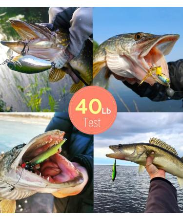 Scotank Fishing Leaders - 40LB 60PCS Green Stainless Steel Wire with Swivels Snap Connect - Fishing Gear and Equipment Tackle Kit for Lures Bait Rig - Ideal Fishing Gift - Buy Online on GoSupps.com