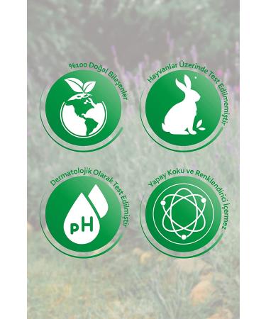 Tony Moly Vital Vita 12 Vitamin C Ampoule 1.01 fl oz - Brightening & Anti-Aging Serum - Buy Online on GoSupps.com