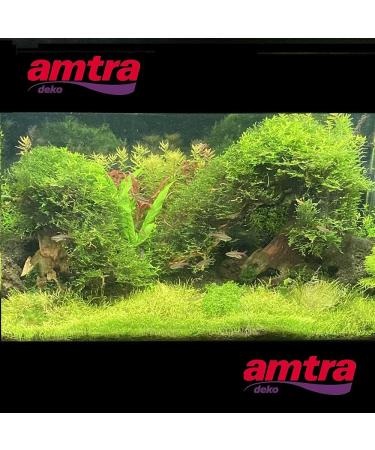 Amtra Oriental Wind 5 Wood Handmade Aquarium D cor 25x10x18 CM - Small Brown - Buy Online on GoSupps.com