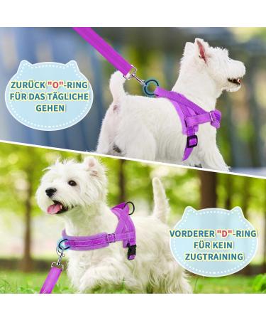 Eyein No-Pull Dog Harness with Leash | Soft Padded Reflective & Adjustable for All Breeds | XXS Purple - Buy Online on GoSupps.com