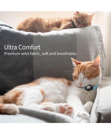 Apple AirTag Cat Neck Band - Light Tracker for Kittens & Puppies (7-9 inch) - Blue | International Shipping - Buy Online on GoSupps.com