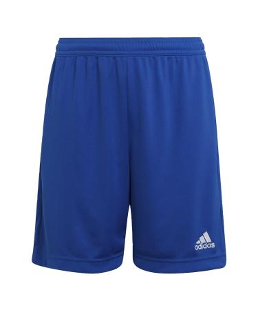 adidas Unisex Kids Shorts Entrada 22 Shorts 13-14 Years Team Royal Blue