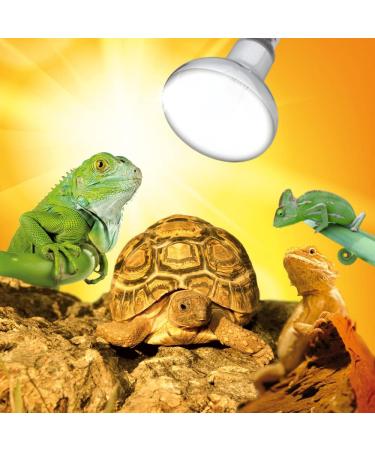 Terra Exotica D3 UV Heat Spot 80 Watt | UVB Heat Lamp for Reptiles | 100W & 125W Options Available | Sunlight Simulation & D3 Synthesis - Buy Online on GoSupps.com