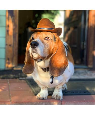 Hacraho Pet Cowboy Costume | Adjustable Dog Cowboy Hat & Blue Paisley Bandana for Small Dogs & Cats - Western Accessories & Photo Props - Buy Online on GoSupps.com