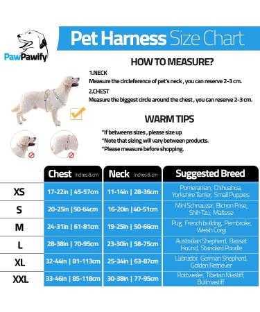 Pawpawify Personalized Dog Harness - No Pull Adjustable for XL Dogs (Chest 32-44in) - Ideal for Training & Walking - Doodle Color - Buy Online on GoSupps.com