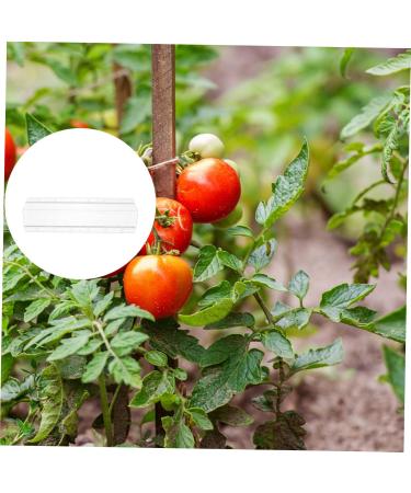 Toddmomy Vessel Tools 4 Pcs Square Cucumber Molds Vegetables One Cucumber Plant DIY Star Tool Growth Molds Container Gourd - Buy Online on GoSupps.com
