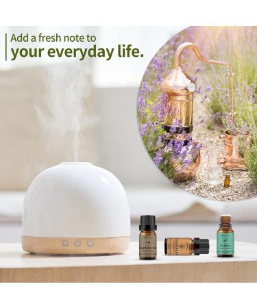 Chamomile Sandalwood Vetiver Essential Oils Set 100% Pure Premium Grade Natural Fragrance Oil Gift kit for Diffusers Home Care Candle Making Fragrance Aromatherapy Humidifiers Chamomile + Sandalwood + Vetiver 10.00 ml (Pack of 3) - Buy Online on GoSupps.com