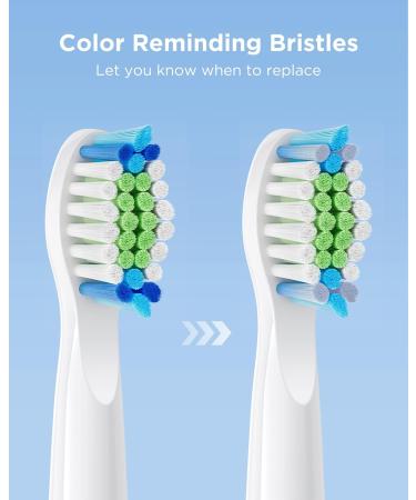 Buy 4 Replacement Heads for Bitvae Sonic Toothbrush Daily D2 Enhanced Oral Care International Shipping Available - Buy Online on GoSupps.com