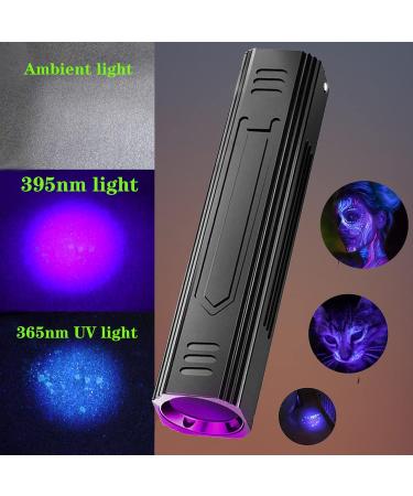 Portable Woods UV Lamp - 365 Nm Black Light Flashlight for Pet Urine Detection & Bed Bug Inspection - Buy Online on GoSupps.com