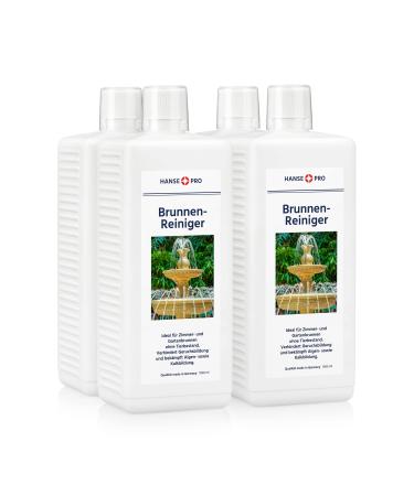 Hanse Pro Brunnen cleaner 4 x 1000 ml I water care i cleaning I keeps water fresh and clear i prevents algae bacteria and lime 1.00 l (4-pack)