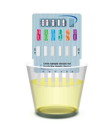 EZ LEVEL 6 Panel Urine Multi Drug Test Kit (10 Count) - Fast and Accurate Drug Testing Solution - Buy Online on GoSupps.com