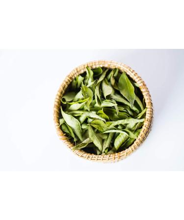 Dried Curry Leaves 0.7 Oz - Aromatic Whole Herb for Flavorful Dishes | Gluten-Free Kari Patta | Tray-Dried Freshness - 19.84g - Buy Online on GoSupps.com