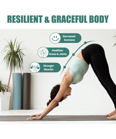 Organic Sea Moss Capsules - 60 Count | Wildcrafted Irish Sea Moss Bladderwrack Burdock Root & More for Digestive Skin & Joint Health - Buy Online on GoSupps.com