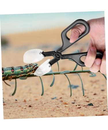 BESPORTBLE 6 Pcs Reptile Feeding Clip Chameleon Habitat Kit Cricke Capturer Gecko Cage Cleaner Reptiles Mx2pcs Blackx2pcs - Buy Online on GoSupps.com