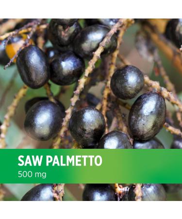 DOCTORS' PREFERRED Saw Palmetto for Men and Women Extract Supplement 500 mg/Serving | 90 Capsules - Buy Online on GoSupps.com