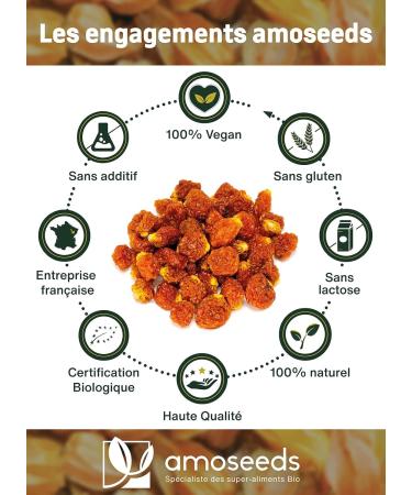 Physalis Organic 1 kg | Naturally Dried Inca Berries | Fluffy Unsweetened | Premium Quality - Buy Online on GoSupps.com