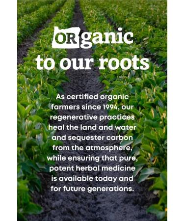 Oregon's Wild Harvest Dandelion Root Organic Supplement | Traditional Herbal Bitter 90 Vegan Capsules - Buy Online on GoSupps.com