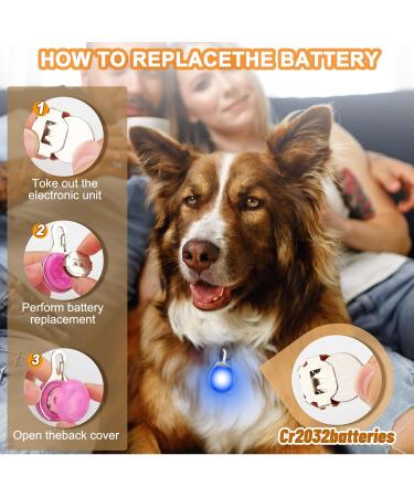 3 Pack LED Dog Collar Light Light Up Dog Collars Clip-On LED Dog Tag Light for Dog Collar 3 Light Modes Dog Lights for Night Walking Running Camping Climbing - Buy Online on GoSupps.com