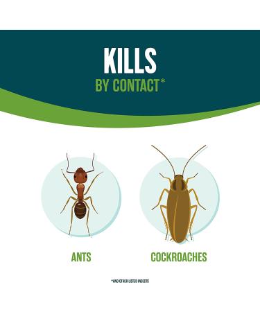 Ecologic Home Insect Control 64 fl oz - Kills Ants, Cockroaches, Spiders & More - Buy Online on GoSupps.com