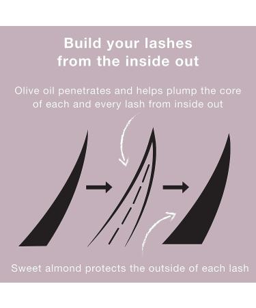 Neutrogena Healthy Volume Lash-Plumping Mascara 0.21 oz - Volumizing & Conditioning, Olive Oil for Fuller Lashes, Black - Buy Online on GoSupps.com