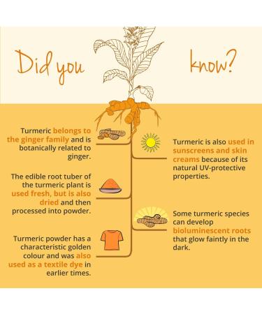 Vegavero Organic Turmeric 14620mg | Curcumin 158mg | Curcuma with Black Pepper | Piperine + Curcuminoids | NO Additives | Vegan - Buy Online on GoSupps.com