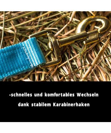 Premium Adjustable Horse Halter for Warmbloods Thoroughbreds & Cold Bloods - Safe Tearproof Turquoise Pony Size - Buy Online on GoSupps.com