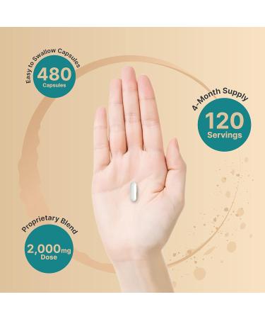 NatureBell Hyaluronic Acid with MSM & Multi Collagen - Pack of 2 - 240 Capsules - Buy Online on GoSupps.com