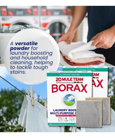 Buy 20 Mule Team Borax Detergent Booster & Household Cleaner Powder 4 lb Bundle - Boost Detergent Power Control Odors All-Natural Cleaning (4 Items) - Ships Internationally - Buy Online on GoSupps.com