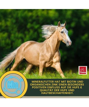 Mineral feed for horses biotin zinc selenium brewer's yeast nutritional supplement for horses with manganese and magnesium + amino acids vitamin B complex coat changer - Buy Online on GoSupps.com