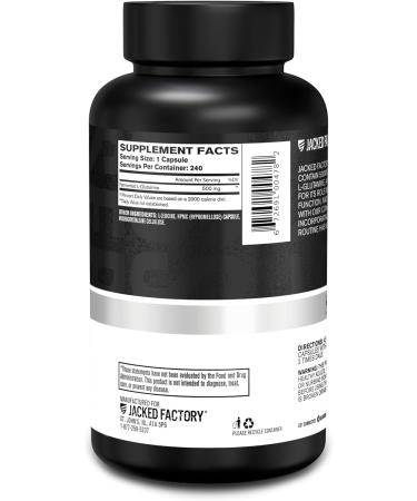 Jacked Factory L-Glutamine Capsules 500mg - Vegan Fermented L Glutamine Supplement for Post Workout Muscle Recovery Immunity Digestive Health - 240 Capsules - Buy Online on GoSupps.com