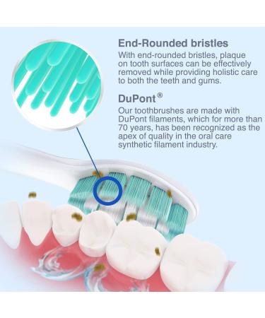 Brushmo Replacement Toothbrush Heads - 8 Pack Compatible with Sonicare Electric Toothbrush - Buy Online on GoSupps.com