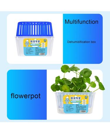 Buy Compact Moisture Absorber Box - Safe Air Products for Home & Bathroom | Effective Humidity Control - Buy Online on GoSupps.com